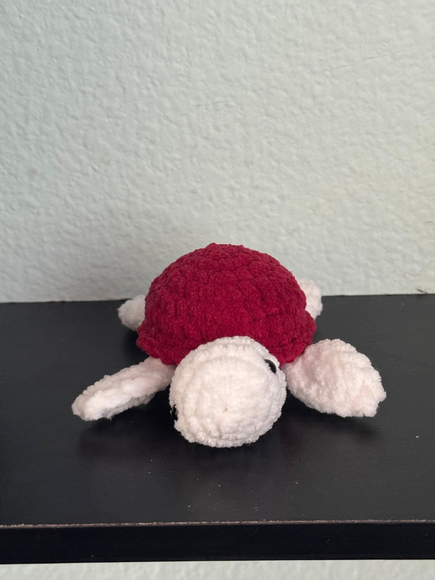 Baby turtle