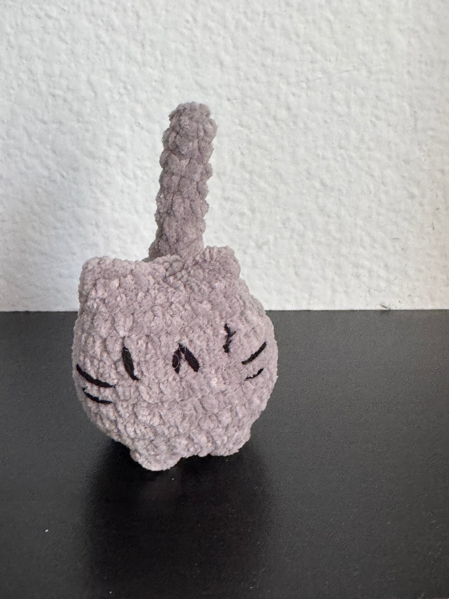 Grey cat