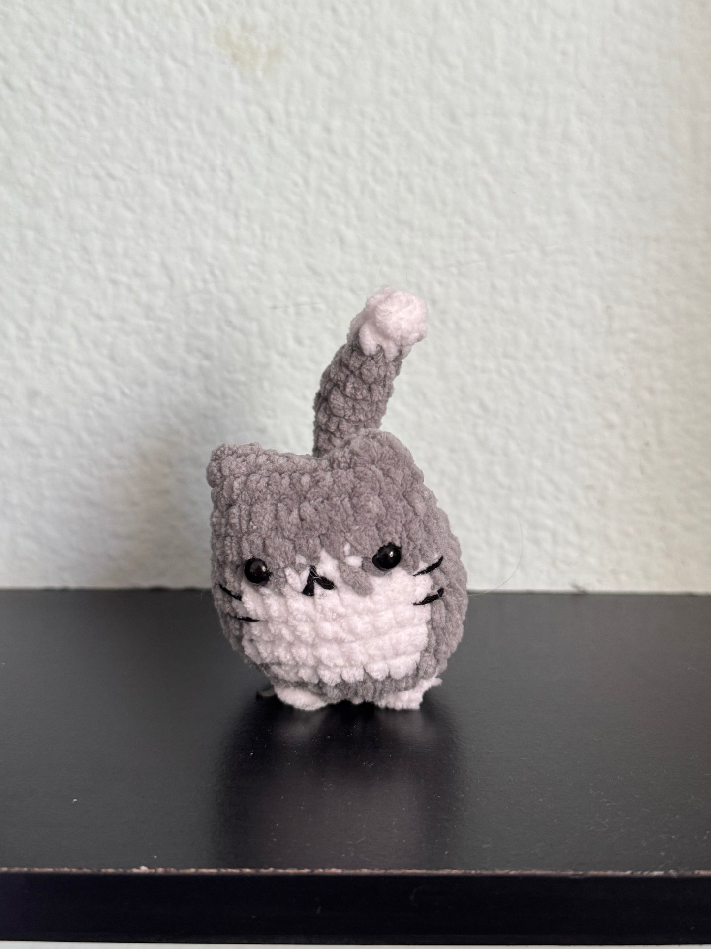 Gray and white cat