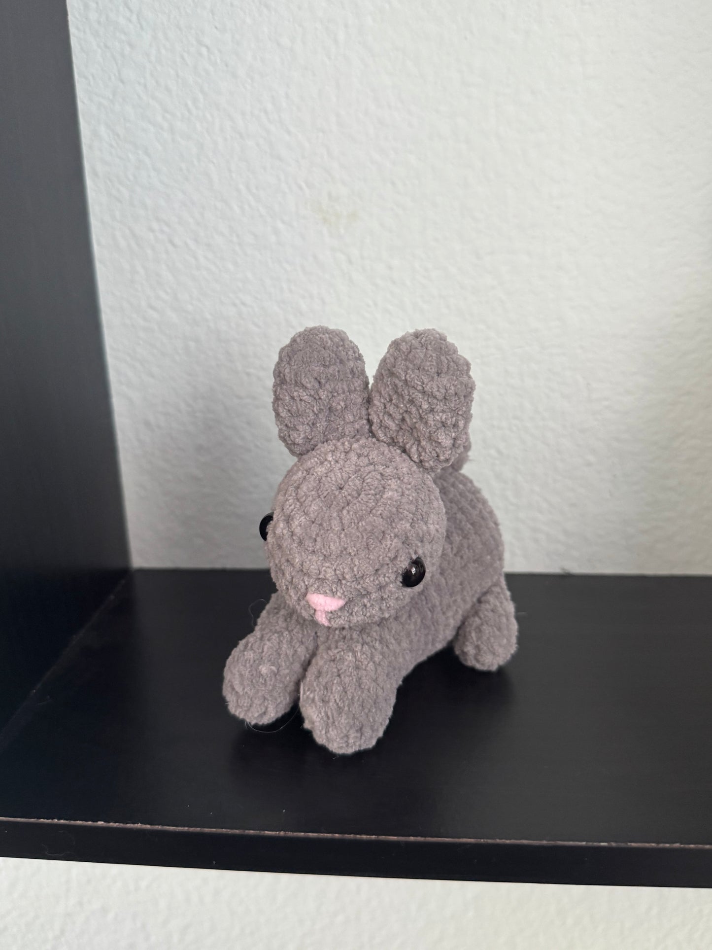 Baby bunny’s