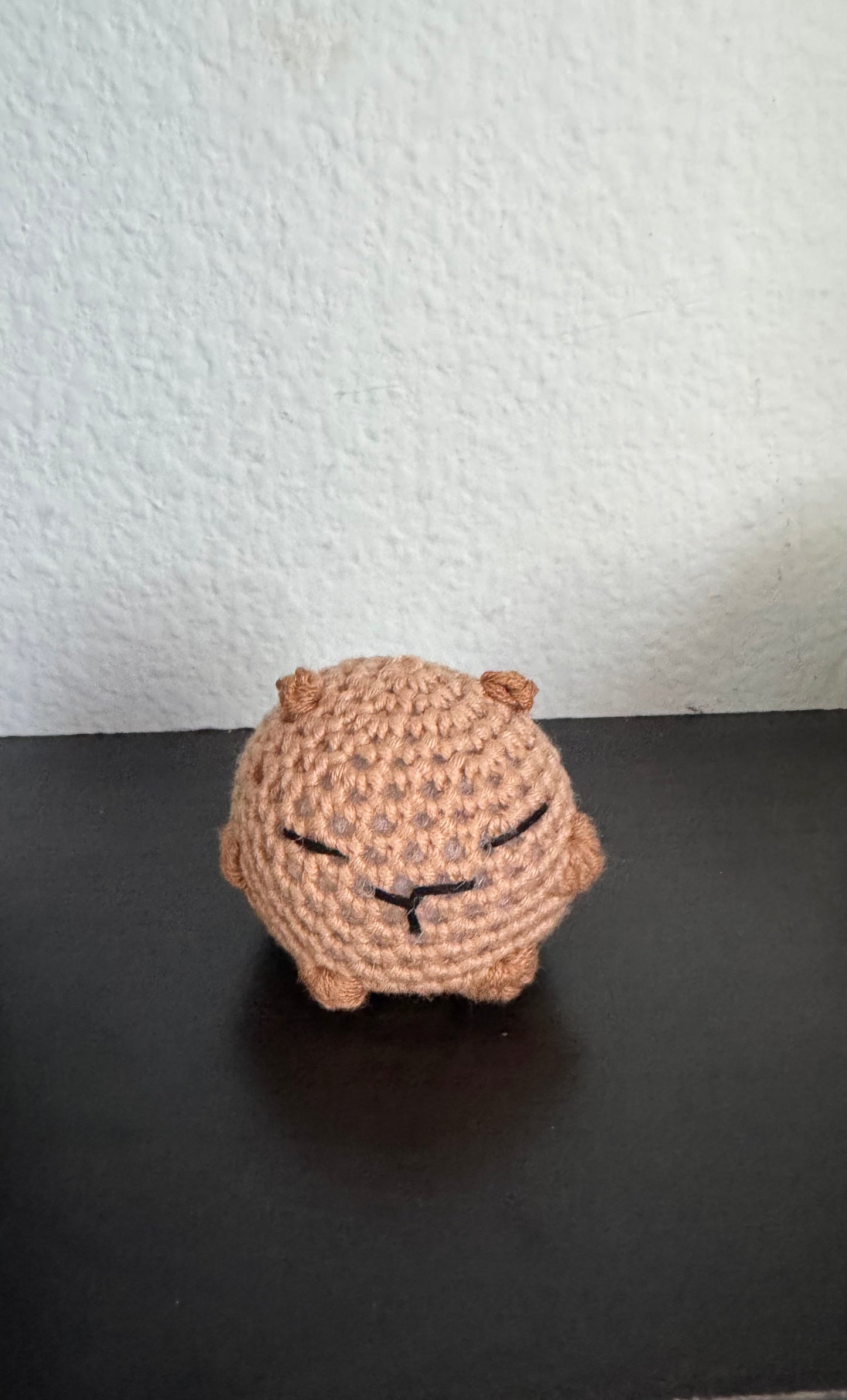 Capybara