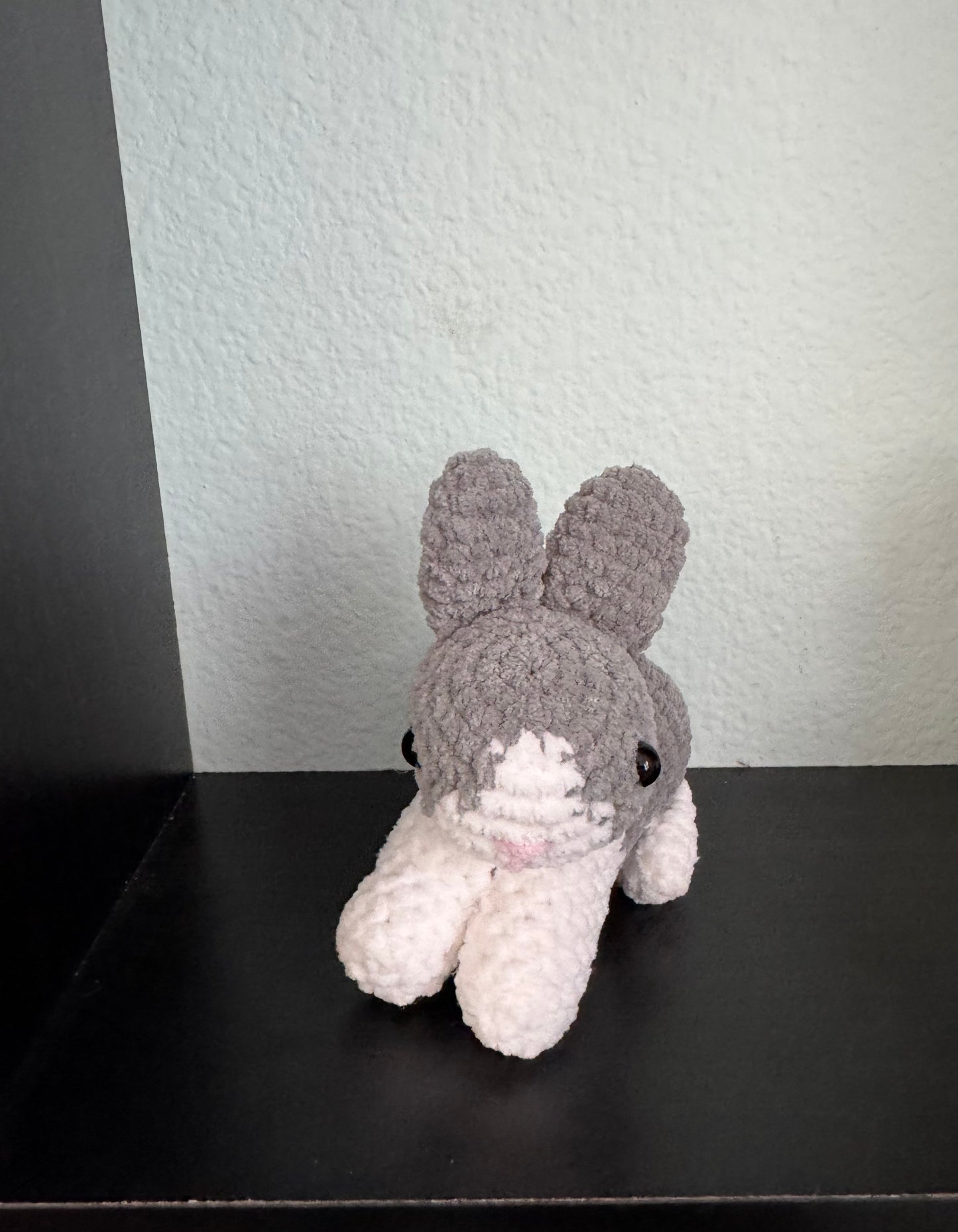 Baby bunny’s