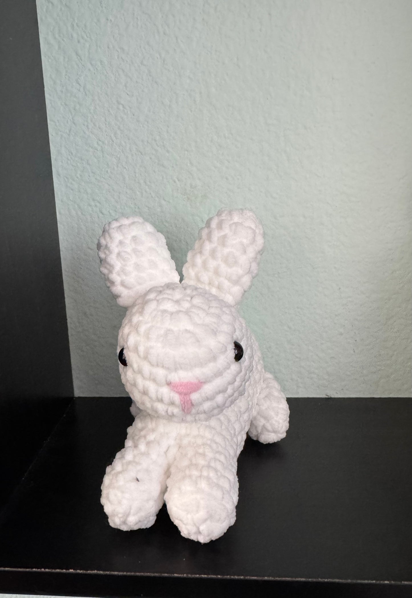 Baby bunny’s