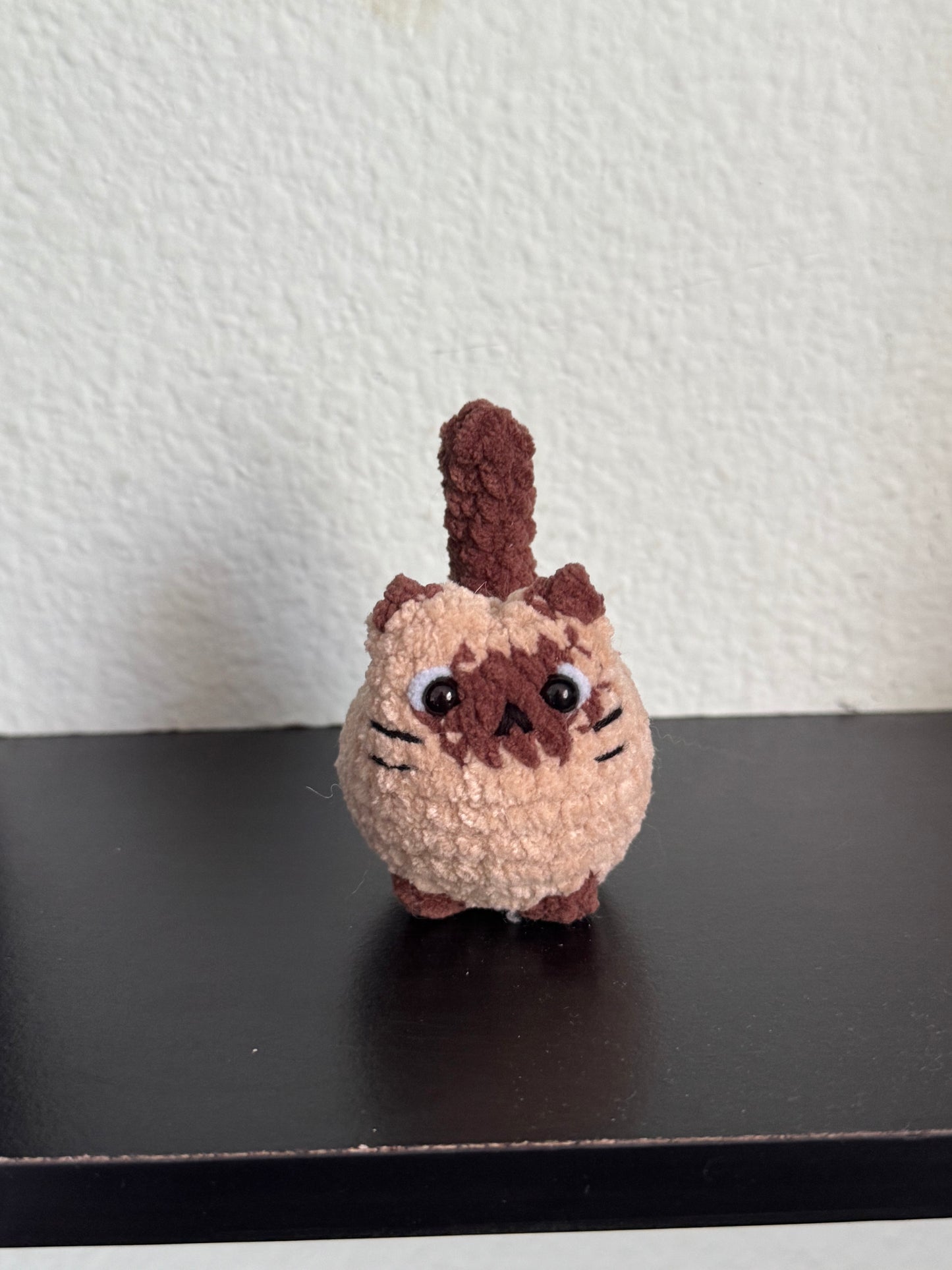 Light brown cat