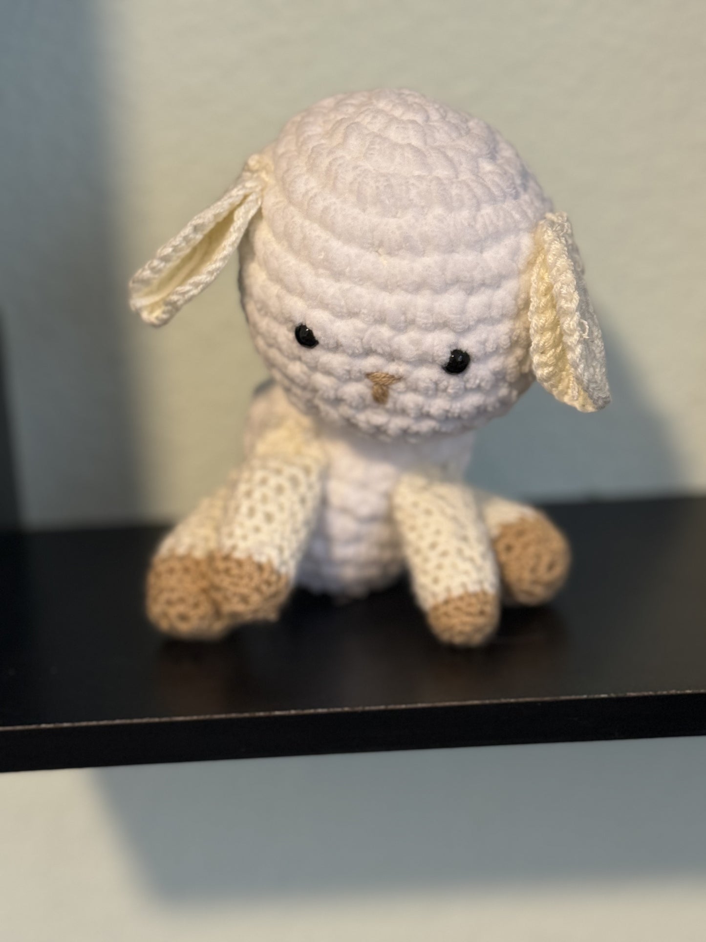 Baby Lamb