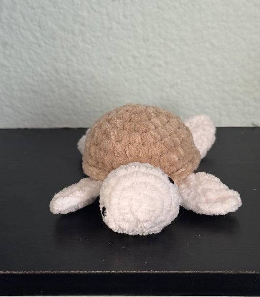 Baby turtle
