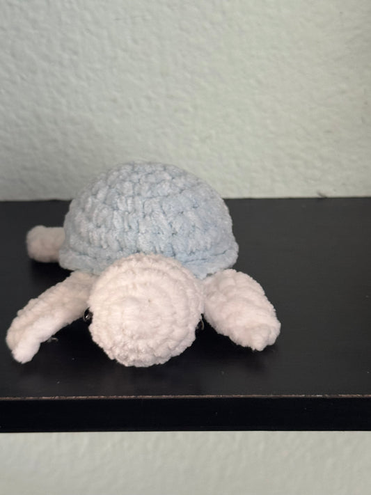 Baby turtle