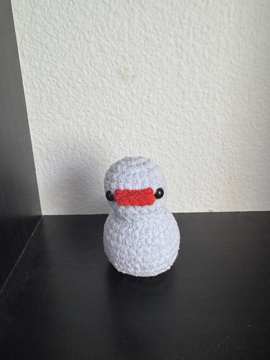 Ducks