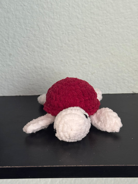 Baby turtle