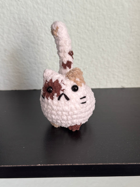 Spotted cat