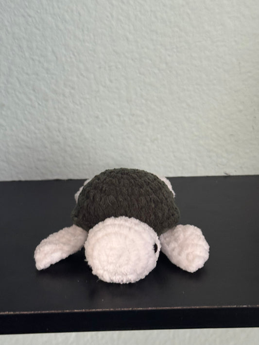 Baby turtle