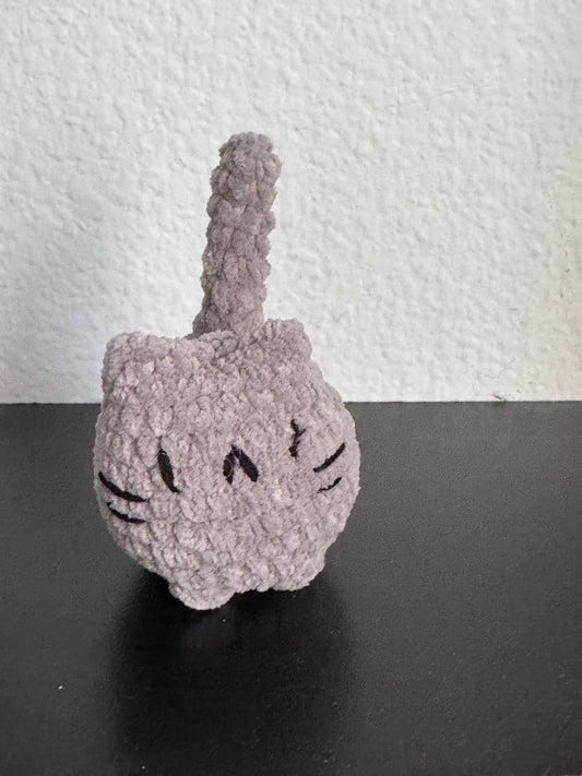 Grey cat