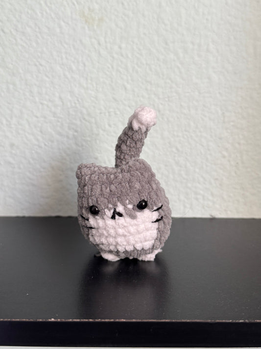 Gray and white cat