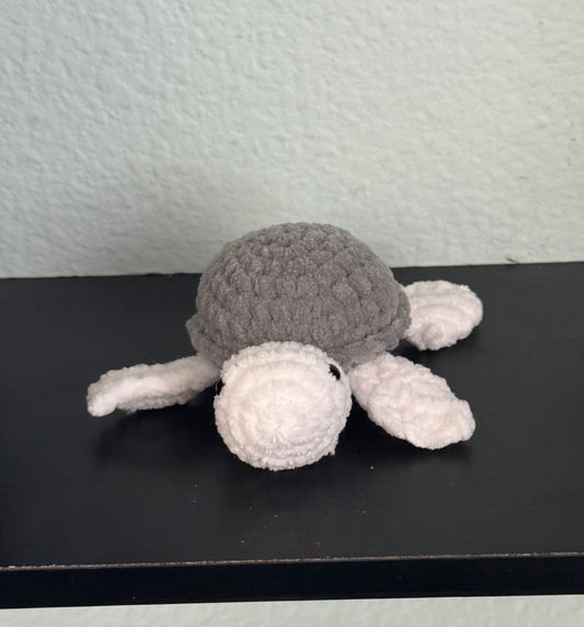 Baby Turtle