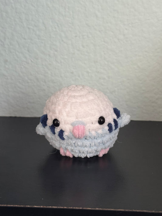 Budgerigar