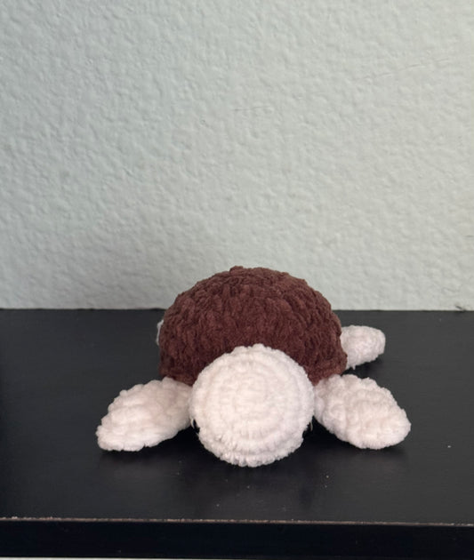 Baby turtle