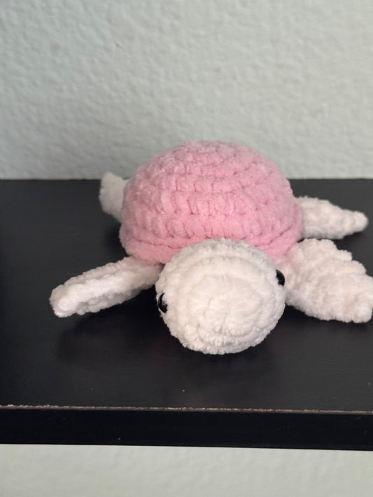 Baby turtle