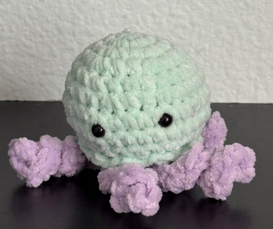 Jellyfish