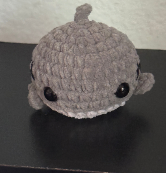 Shark