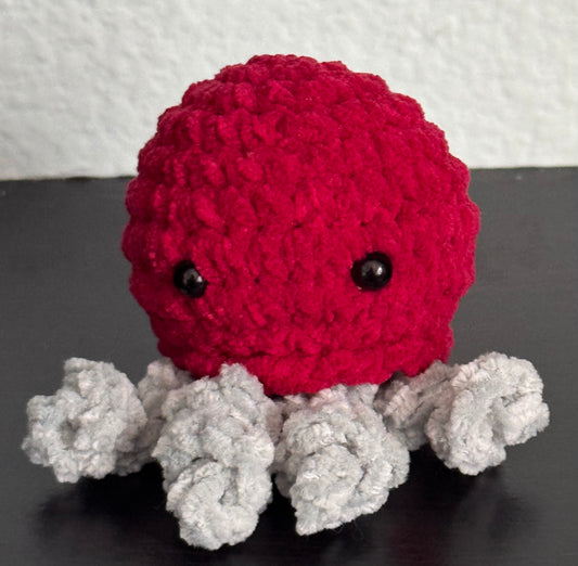 Jellyfish